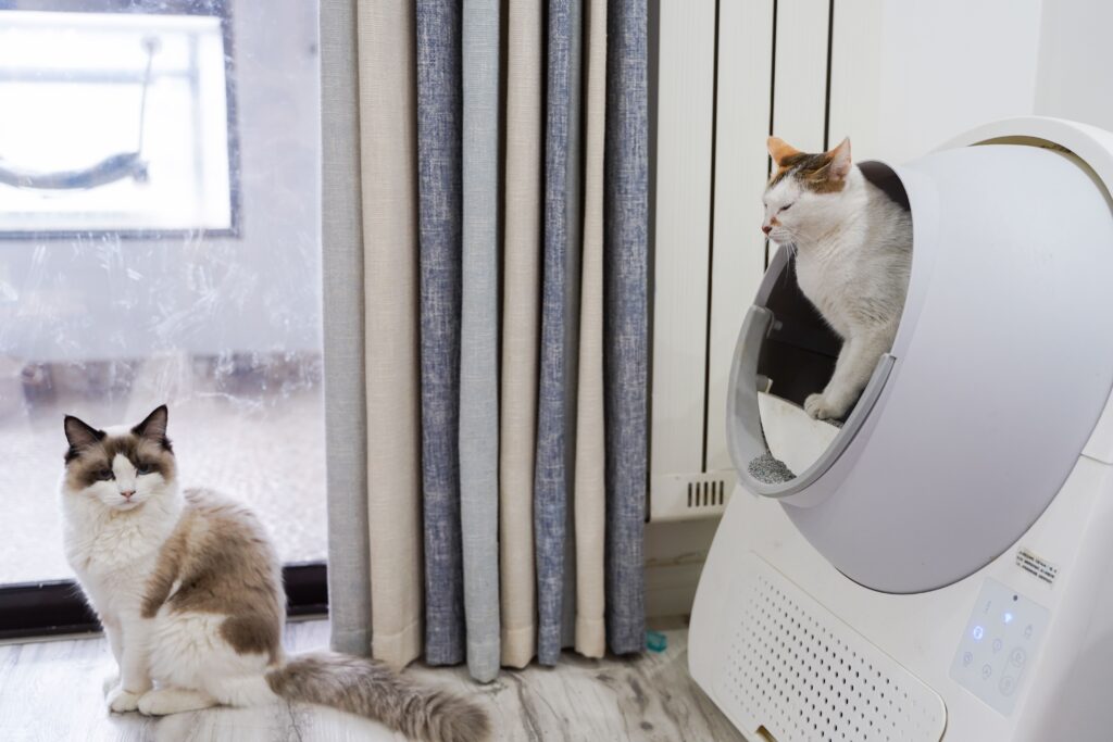 Self-Cleaning Litter Boxes