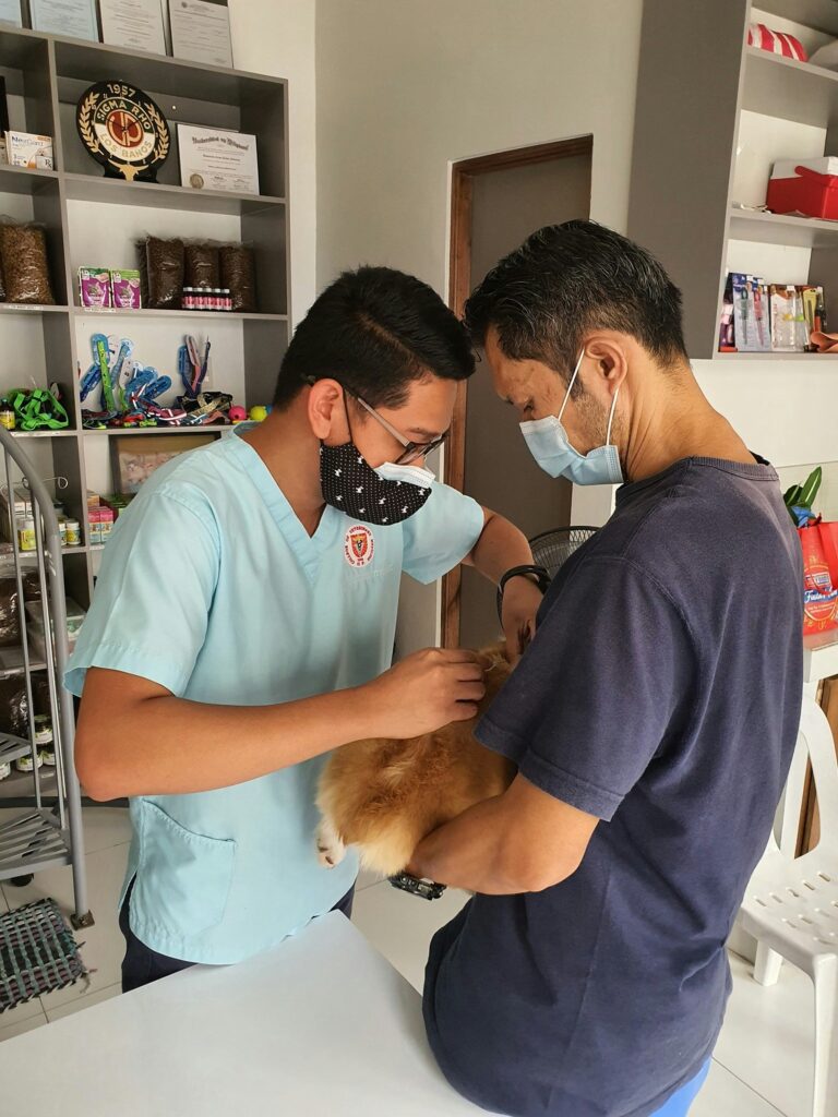 vets treating a cat at the office, answering the question is pet insurance Worth it for cats