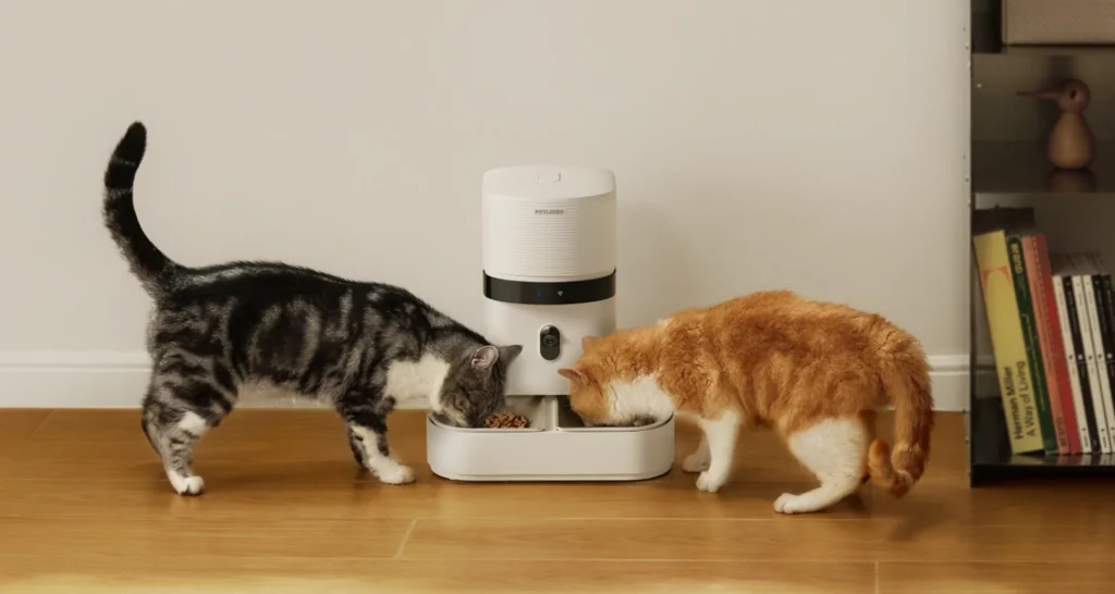 two cats feeding from a Petlibro Granary 2 feeder